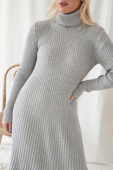 Alessia polo knit dress, grey